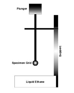 Model of a freeze plunger