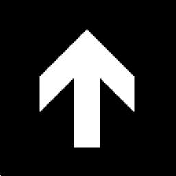 Picture of a reference arrow-like particle